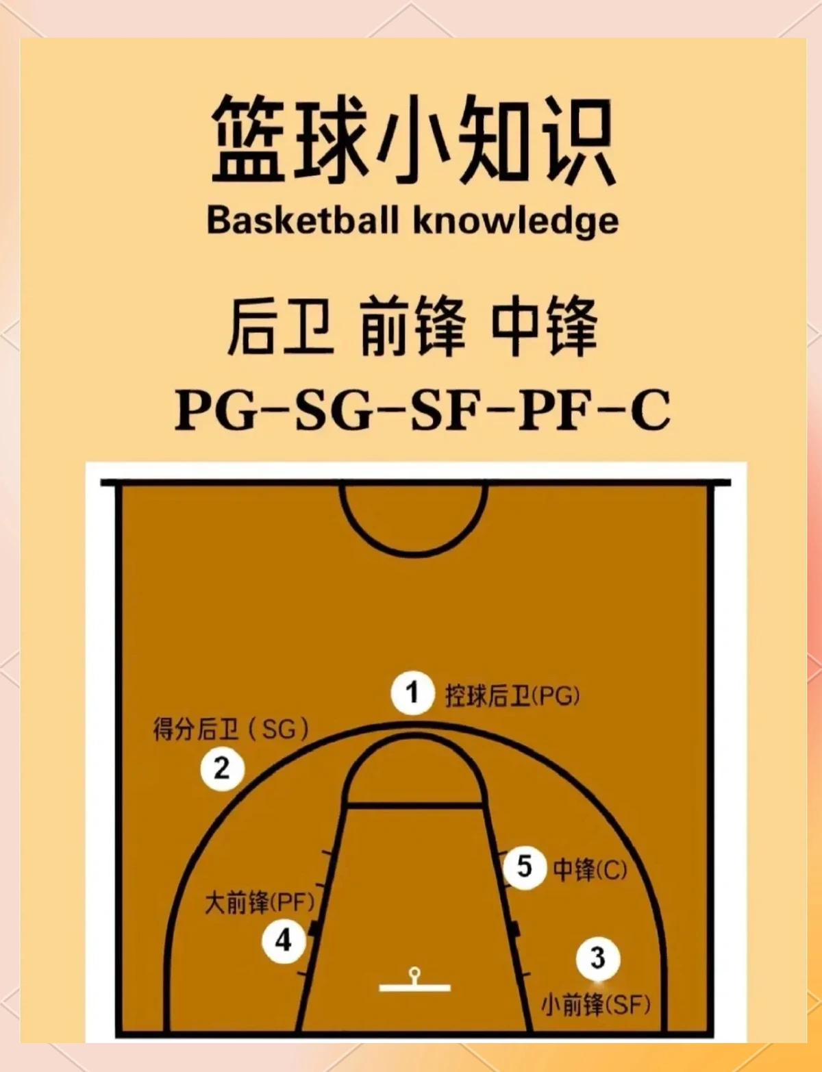 哪里有适合初学者的篮球训练管理指南_2